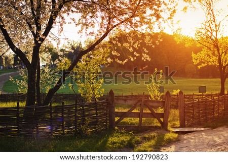 Old fence on meadow at sunset in spring