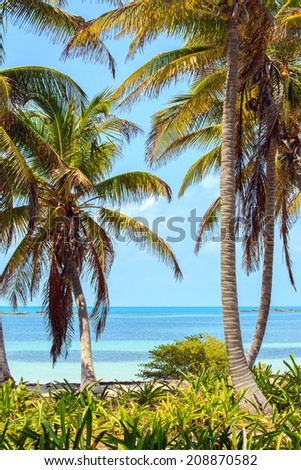 Tropical paradise on Contoy Island National Park, Mexico