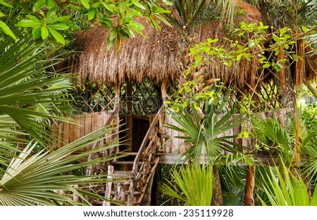 Primitive thatched shelter in dense Mexican jungle