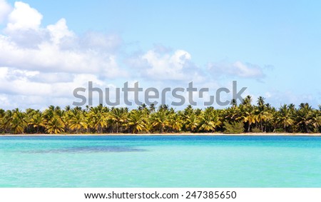 Caribbean sea scenery on Saona island, Dominican Republic