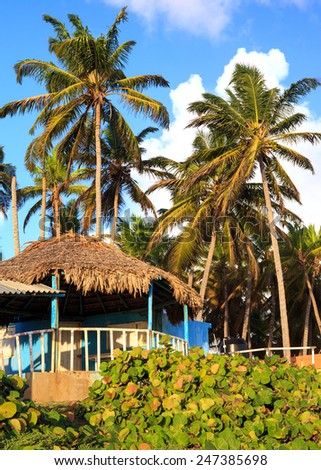 Typical blue house on seashore in Dominican Republic