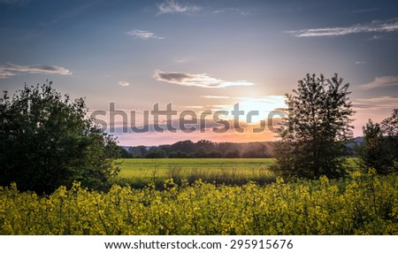 Sunset and idyllic country landscape with field of yellow rape