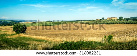 Country landscape of tuscan hills with olive field and old farmhouse in the background