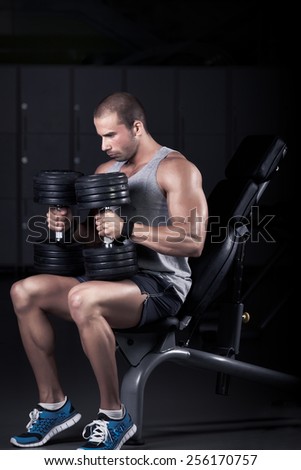 Handsome attractive muscular man training in the gym.Young muscular man doing exercises for hand muscles with dumbbell at the gym on Scott bench