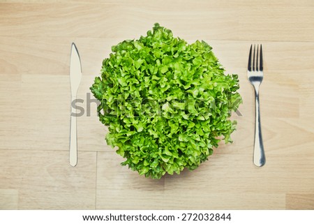 Fitness concept with healthy dieting and healthy lifestyle.Concept of diet,health and nutrition.Vibrant colorful vegetable in the bowl.Eating salad.Bright green lettuce diet meal