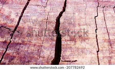 wood texture,vintage background