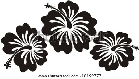 Vector Hawaiian Flower