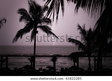 tropical lightning thunder storm, with palm trees in mazatlan, mexico