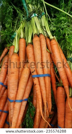Carrots at a produce stand.