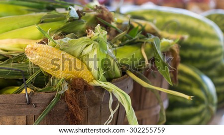 Bushels of Sweet Corn at a produce stand