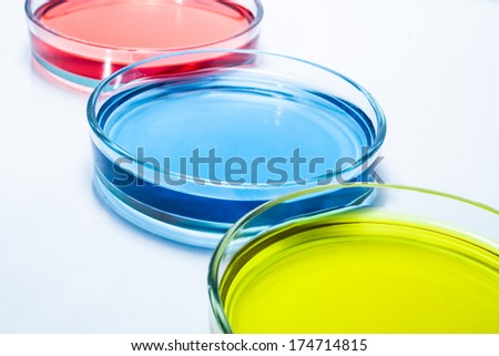 Set of Petri dishes with colored liquid