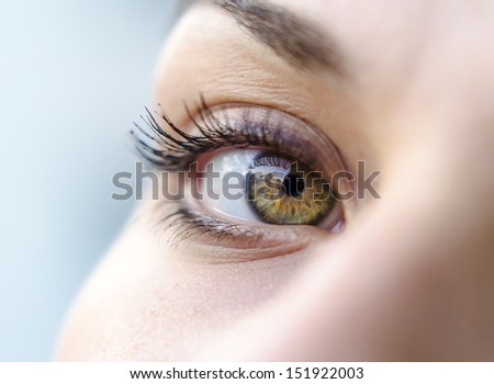 Close-up of a pretty woman\'s green eye