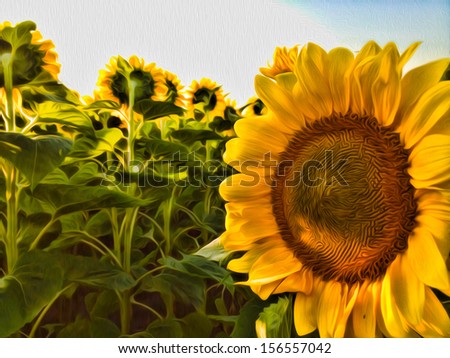 sunflowers oil painting illustration background