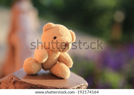 Bear doll in blurred background