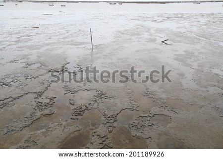 mud sea
