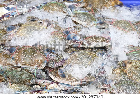 Fresh crab in ice