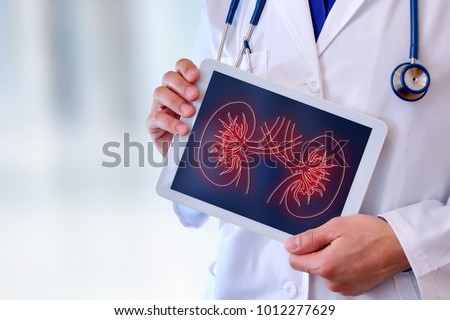 Doctor close-up of a doctor showing a picture of a kidney on a tablet in a hospital