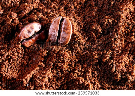 two grains of coffee on background of ground coffee top view