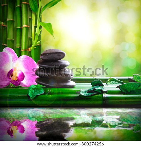 Stacked black stones, orchids and leaves on bamboo. Reflected in water in nature. Concept of calm and relaxation. Alternative treatments, massage, balance and meditation. Square composition.