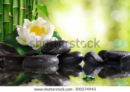 Water lily on lots of black stones reflected in water in nature. Concept of calm and relaxation. Alternative treatments, massage, balance and meditation. Horizontal composition.