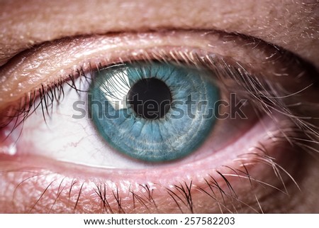 Eye macro. Macro image of human eye