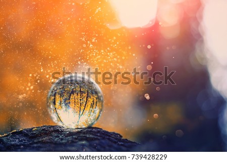 glass  transparent ball (sphere) from the reflection of the trees on blurred natural background. blurred abstract background. beautiful still life with glass ball on background of nature.