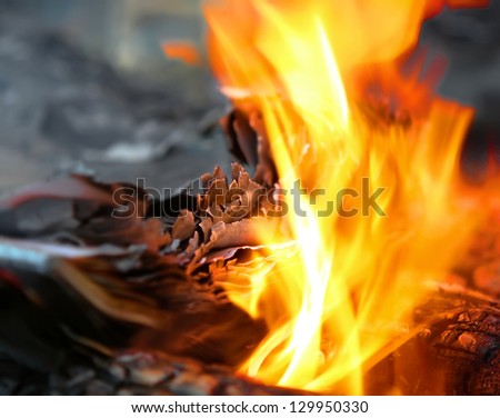 fire in the fire burns out of paper, burn the pages of a book on the coals with flying sparks
