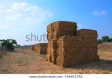 Stacked blocks of dry hay at a farm (HDR image)