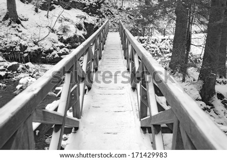 A snowy, icy footbridge crossing the beautiful Ravennaschlucht gorge in the Black Forest, Germany