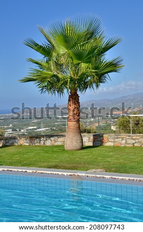 Lone palm on a summer vacation - Palm tree by the pool with the Cretan mountains in the background in Malia, Crete near Heraklion