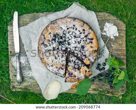 Blackberry pie on the grass in the garden