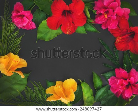 A frame of flowers (hibiscuses and dog roses) and green leaves on a black backdrop with a copy space in the center. Top view
