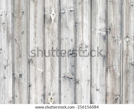 Light wood texture background. White gray color