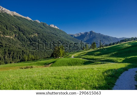 Green meadows and small woods around Vigo di Fassa, Val di Fassa, Catinaccio mountain group, Dolomites, Trentino, Alto-Adige, South Tyrol, Italy