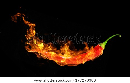 Chili paper in fire
