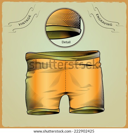 Clothes for swimmers. Sportswear. Water Sports. Swim briefs. Racing brief. Swimming in the pool. Color illustration in style of engraving