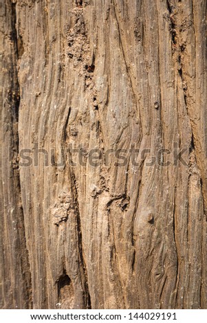 Close up of natural wood texture