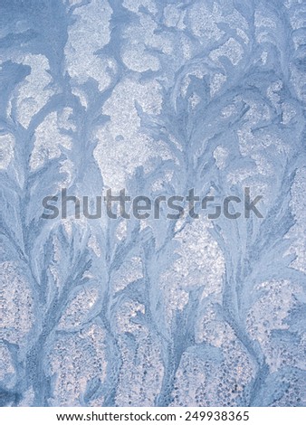 Amazing floral pattern, drawn by hoarfrost on the frozen window glass, taken from inside of the building in cold winter weather - abstract winter background