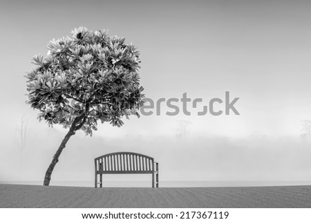 art of black and white red bench on beach beside Pagoda Tree , fog and lake