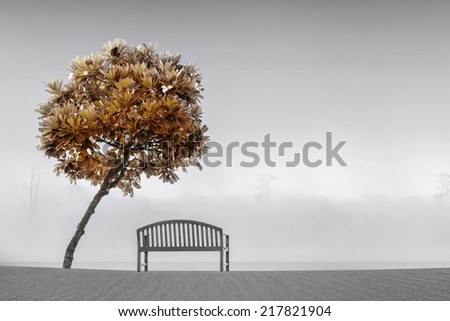 art of red leaf and bench on beach beside Pagoda Tree , fog and lake