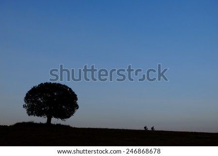 background of silhouette a bicycle and big tree in grass file