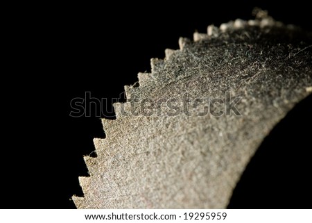 A rusted old saw blade covered in dust