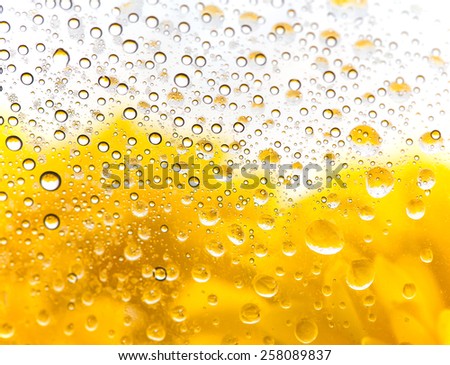 Vibrant yellow color, transparent plastic covered by water.
