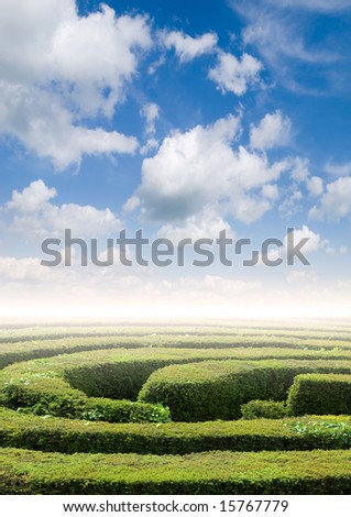Hedge maze under a summers sky, problem solving concept