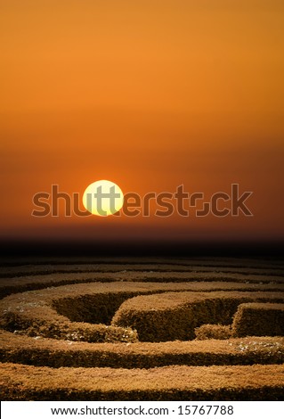 Hedge maze at sunset, problem solving concept