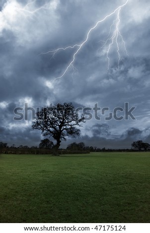 Lightning strikes above a tree on a stormy day.