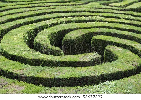 Complex hedge maze