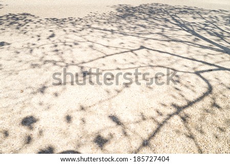 The shadow of a tree on the stone ground.