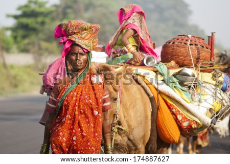 November 7, 2013, rural women from Nomads homeless and poor community moving from one place to another place for leaving Maharashtra, India, south East Asia.