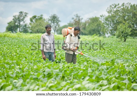 Farmer spraying pesticide on soya bean field, Salunkwadi, Ambajogai, Beed, Maharashtra, India